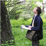 Arbordata - der Online-Baumkataster